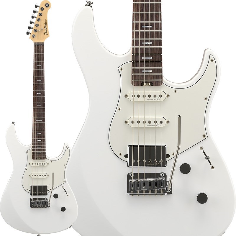 PACIFICA Standard Plus 12 (SHELL WHITE) [SPACS+12SWH]の商品画像