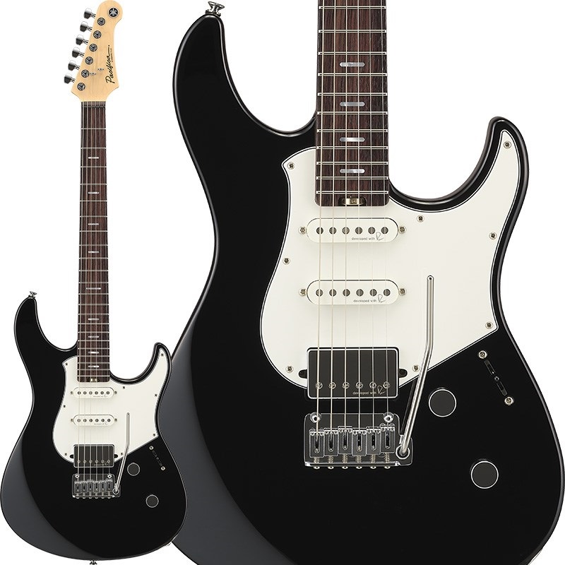 PACIFICA Standard Plus 12 (BLACK) [SPACS+12BL]の商品画像