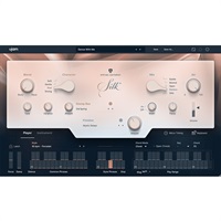 Virtual Guitarist SILK 2(ユージャム)(ヴァーチャルギタリスト)(オンライン納品)(2時間以内に納品)