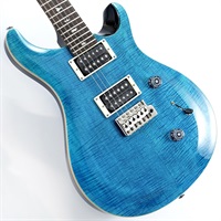 SE Custom 24 (Blue Matteo)