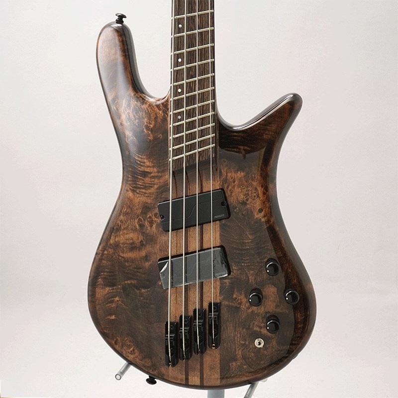 SPECTOR NS Dimension MS 4 (Super Faded Black) 【特価】 ｜イケベ 
