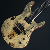 【USED】 ACACIA Guitars Romulus 6 Backeyeburl Top (Natural) 【SN.WM7010】