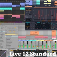 Live 12 Standard (オンライン納品)(代引不可)