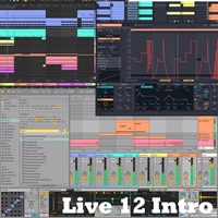 Live 12 Intro (オンライン納品)(代引不可)