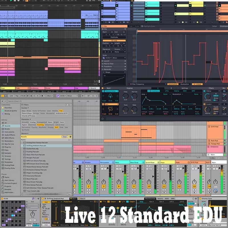 ableton Live 12 Standard EDU アカデミック版 (代引不可)(オンライン納品)