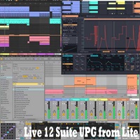 Live 12 Suite UPG from Lite (オンライン納品)(代引不可)