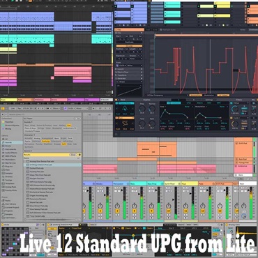 Live 12 Standard UPG from Lite (オンライン納品)(代引不可)