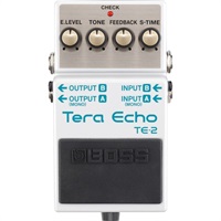 【アンプ＆エフェクターアウトレットセール！】TE-2 [Tera Echo]