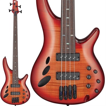 Bass Workshop SRD900F-BTL