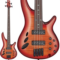 Bass Workshop SRD900F-BTL