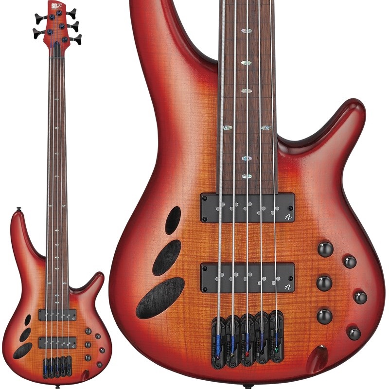 Bass Workshop SRD905F-BTLの商品画像