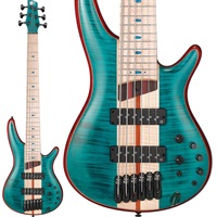 Premium SR1426B-CGL [SPOT MODEL]  【値上げ前旧価格品】