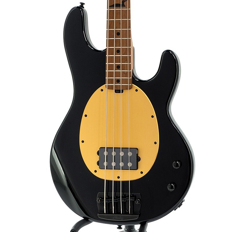 Pete Wentz Signature Stingrayの商品画像