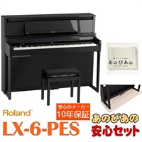 LX-6-PES（黒塗鏡面艶出し塗装仕上げ）【10年保証】【豪華特典つき】【全国配送設置無料/沖縄・離島除く】