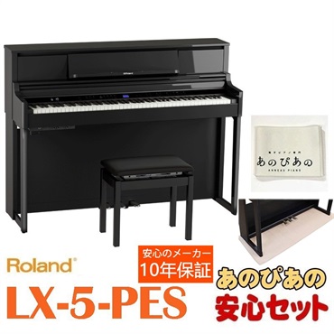 LX-5-PES（黒塗鏡面艶出し塗装仕上げ）【10年保証】【豪華特典つき】【全国配送設置無料/沖縄・離島除く】