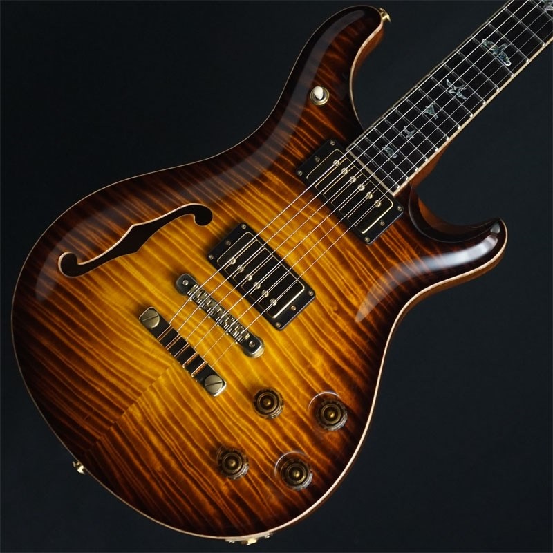 【USED】 Private Stock #7286 McCarty 594 Semi-Hollow (McCarty Glow Smoked Burst) 【SN.18-252739】の商品画像