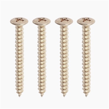 PACK OF 4 NICKEL NECKPLATE SCREWS/GS-0005-001【お取り寄せ商品】