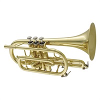 キャロルブラス / N3000 CL 【Bb コルネット】  【新品チョイキズ超特価!!】