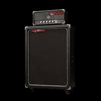 Wild Bass 100 + 212 Cab