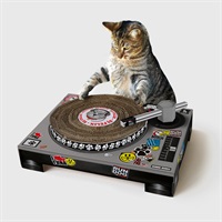 Cat DJ Scratching Deck