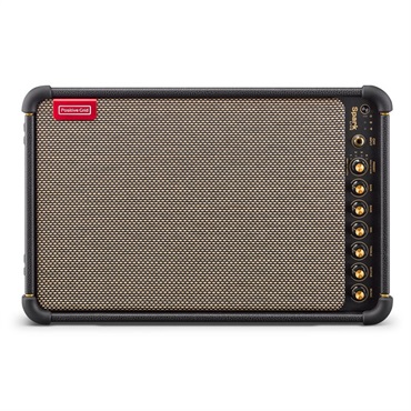 Positive Grid Spark CAB [140Wパワード・キャビネット