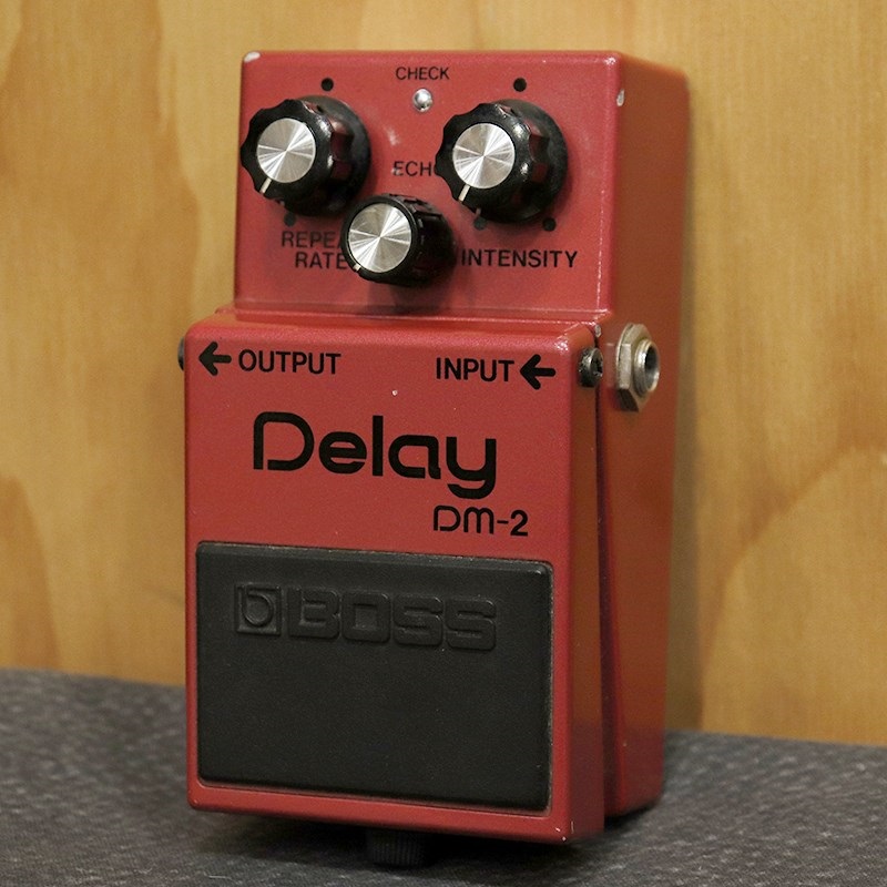 DM-2 Delay early version '81
