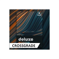 USYNTH DELUXE / CROSS GRADE (オンライン納品)(2時間以内に納品)