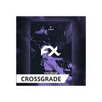 FINISHER Bundle / CROSS GRADE (オンライン納品)(2時間以内に納品)