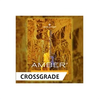 VIRTUAL GUITARIST AMBER 2 / CROSS GRADE (オンライン納品)(代引不可)