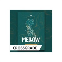 VIRTUAL BASSIST MELLOW 2 / CROSS GRADE (オンライン納品)(2時間以内に納品)