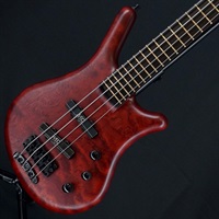 【USED】 Custom Shop Thumb Bass NT 4st Bubinga Pommele Top (Burgundy Red) '21