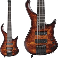 Bass Workshop EHB1505S-DEL [SPOT MODEL] 【値上げ前旧価格品】