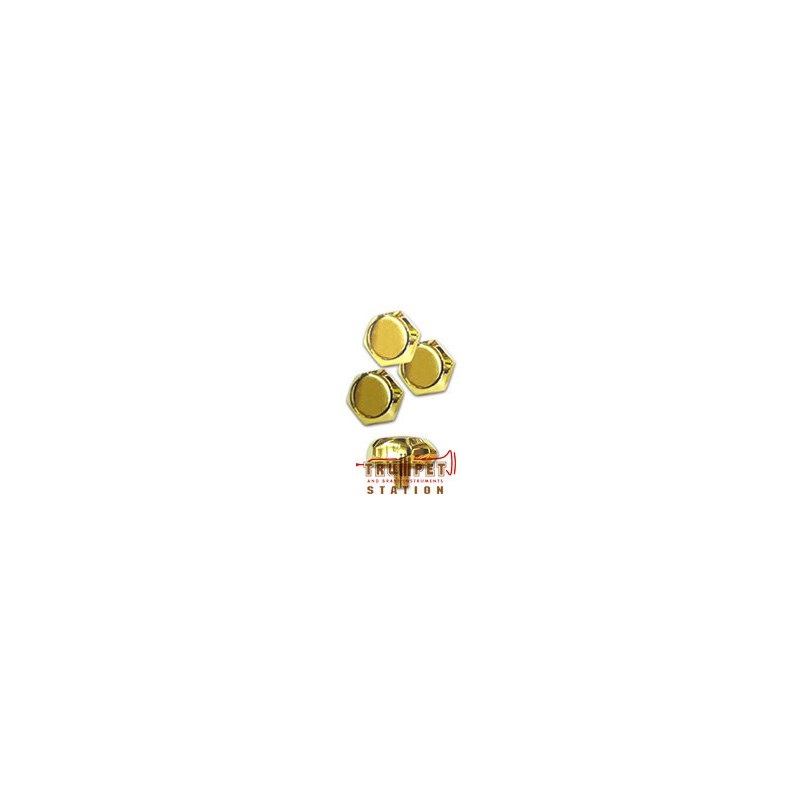 buzz トップキャップ3個セット シルキー用 トランペット用