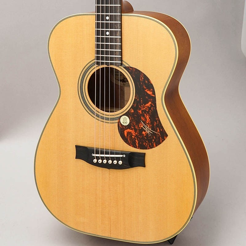 Maton EBG808 TE