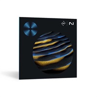 【iZotope RX 11イントロセール！(～6/13)】RX 11 Advanced  (オンライン納品)(代引不可)