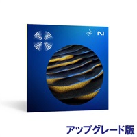 RX 11 Standard UPG from any previous version of RX Standard/Advanced，or RX PPS (アイゾトープ)(オンライン納品)(2時間以内に納品)