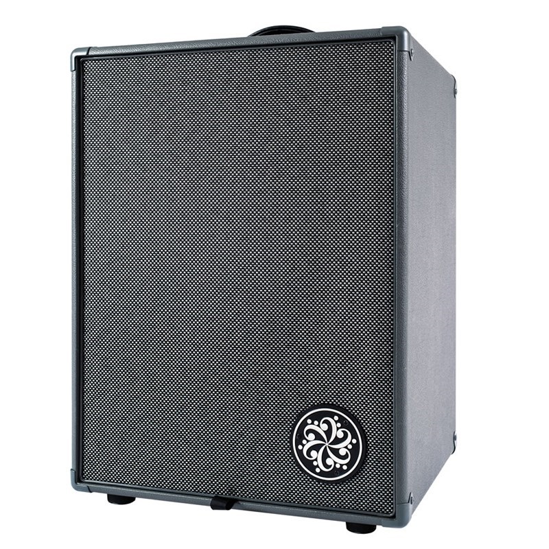 Darkglass Electronics 【お取り寄せ品】 Infinity 500 Combo 210 [DG210D]