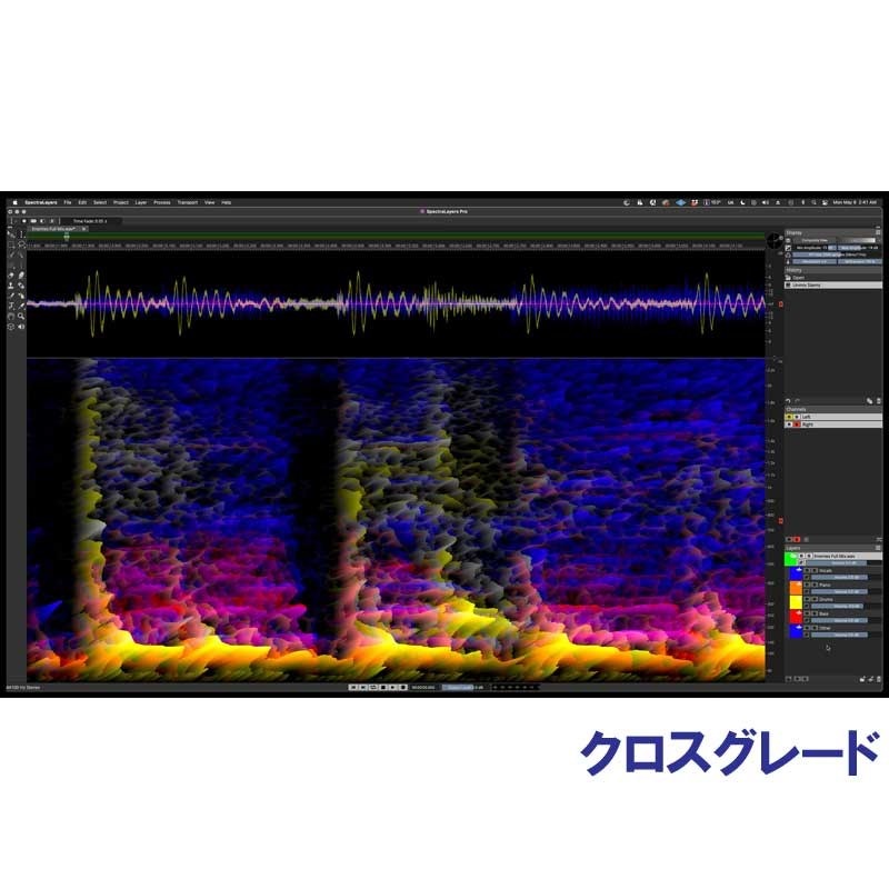 【Steinberg Pro Audio Sale 2024】SpectraLayers Pro 10 Comp CG (オンライン納品)(代引不可)