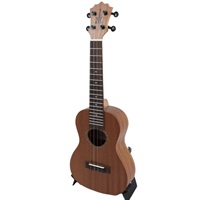 KOALANA KCA-10SP コアロハ