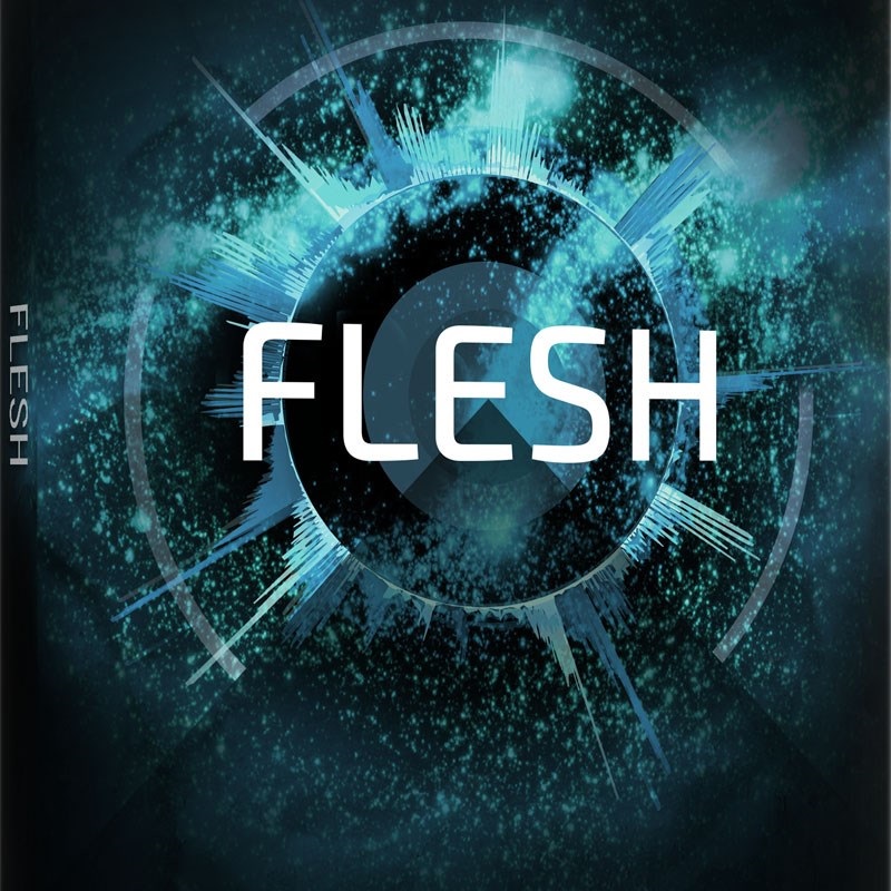 Native Instruments Flesh (オンライン納品)(2時間以内に納品)