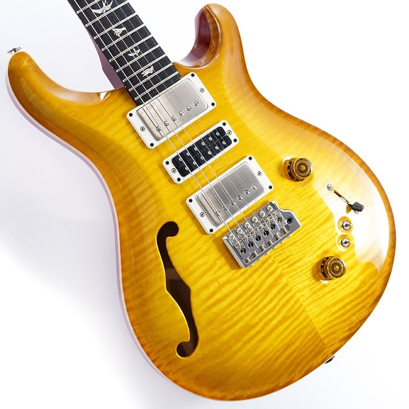Special Semi-Hollow (McCarty Sunburst ) #0376835の商品画像