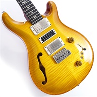 Special Semi-Hollow (McCarty Sunburst ) #0376835