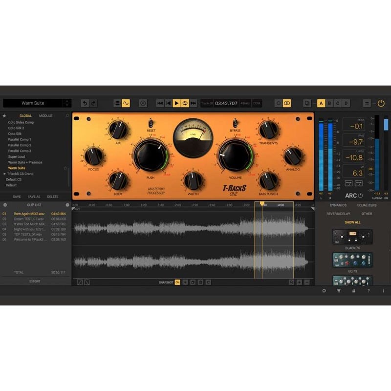 IK Multimedia T-RackS ONE  (代引不可)(オンライン納品)