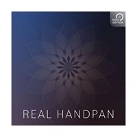 REAL HANDPAN (オンライン納品)(2時間以内に納品)