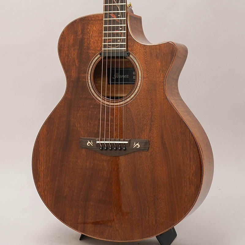 Ibanez 【数量限定特価】【売り尽くしSALE】 AE295LTD-NT アイバニーズ 