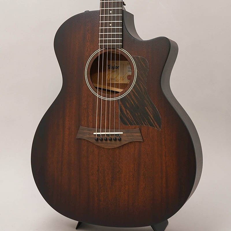 TAYLOR 【値下げ！！】【創業50周年大決算SALE】AD24ce テイラー