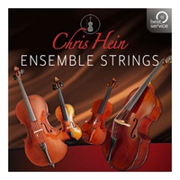 CHRIS HEIN ENSEMBLE STRINGS (オンライン納品)(2時間以内に納品)