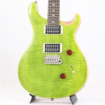 P.R.S. SE Custom 24 (Eriza Verde) [日本限定カラーモデル] ｜イケベ