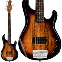 Ray35SM (3-Tone Sunburst/Rosewood)