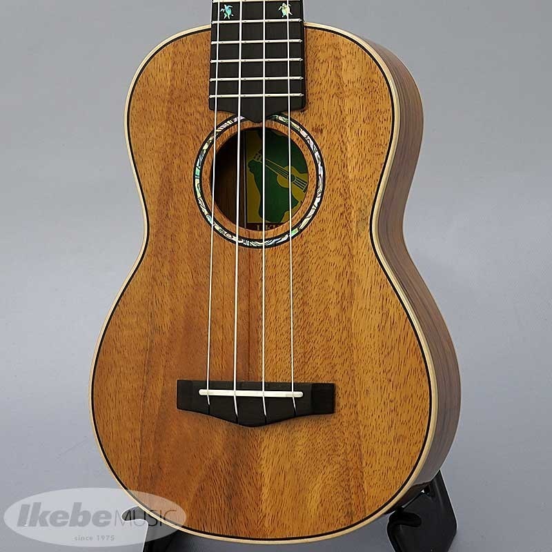 BIG ISLAND 【特価】【ブラックフライデーセール】 KM-SPG[ソプラノ  